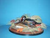 Wood Duck Pair